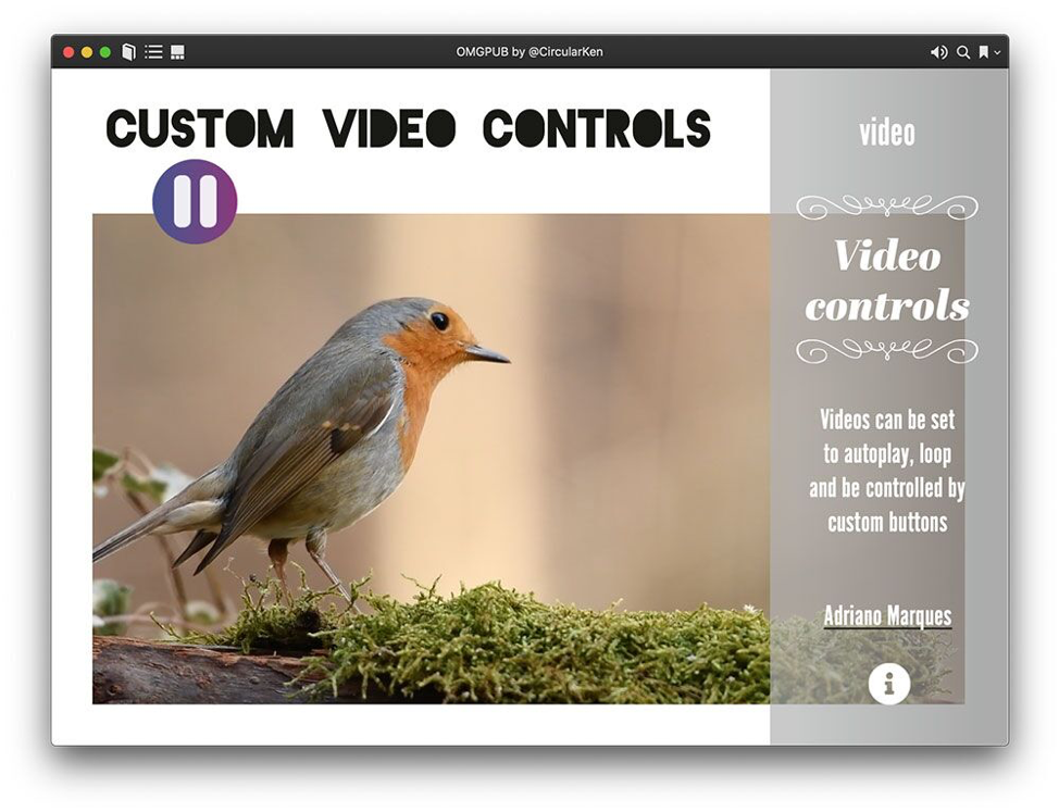 Video controls screenshot